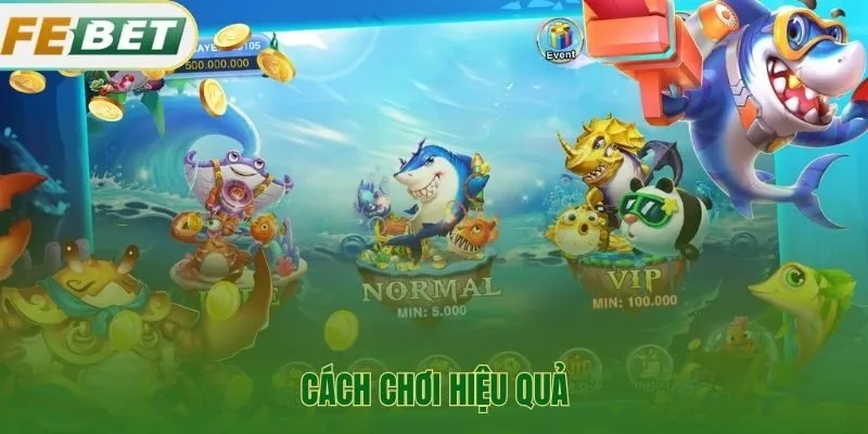 Bậc thầy săn cá bật mí chiến thuật để thắng đậm