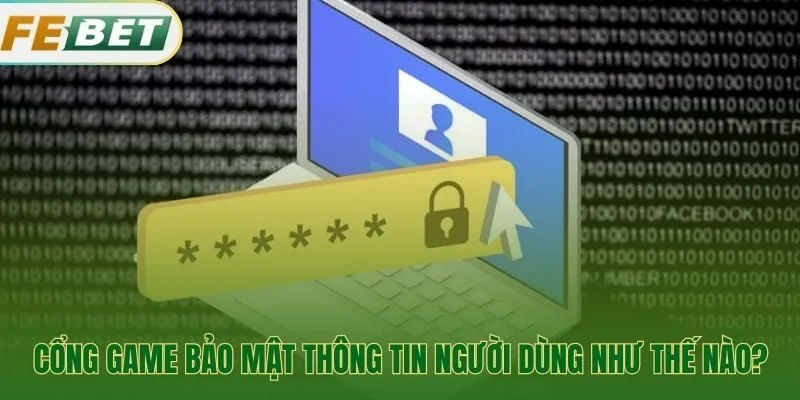 Dữ liệu người dùng được mã hóa an toàn với SSL 256-bit