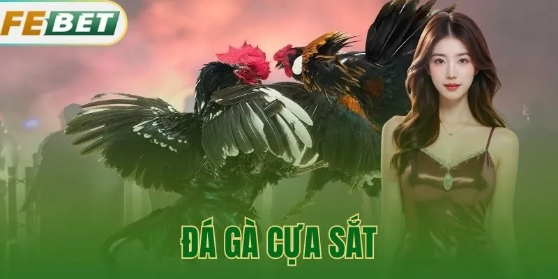 Đá Gà Cựa Sắt