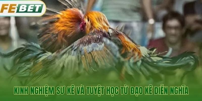 Những nguyên tắc chọn gà chọi kinh điển từ sư kê