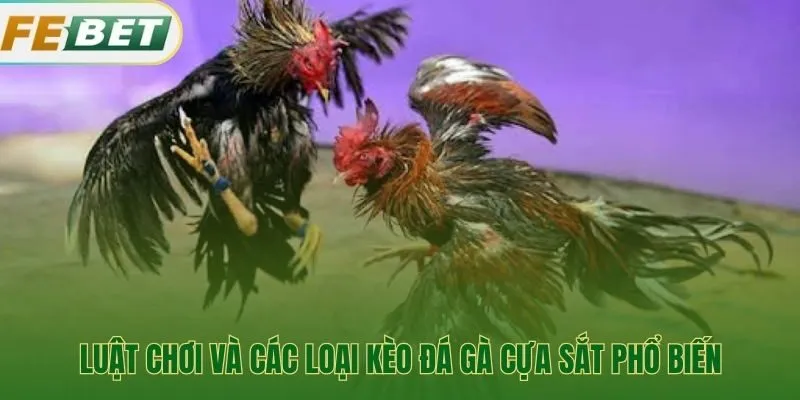 Hiểu rõ luật chơi giúp phán đoán kèo đá gà cựa sắt