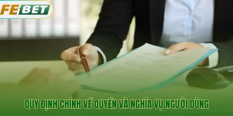 Quyền lợi và trách nhiệm người dùng theo điều khoản điều kiện