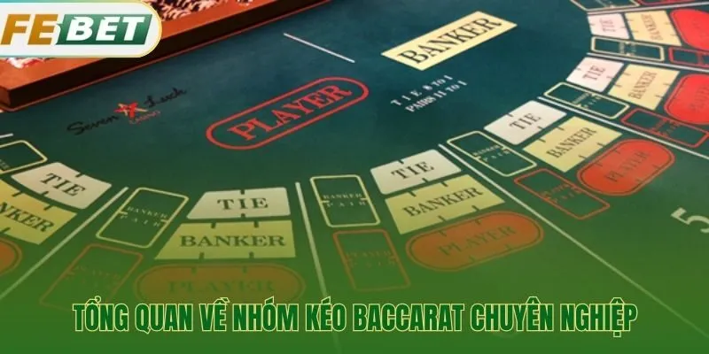Nhóm kéo baccarat chuyên nghiệp vận hành theo kỷ luật riêng